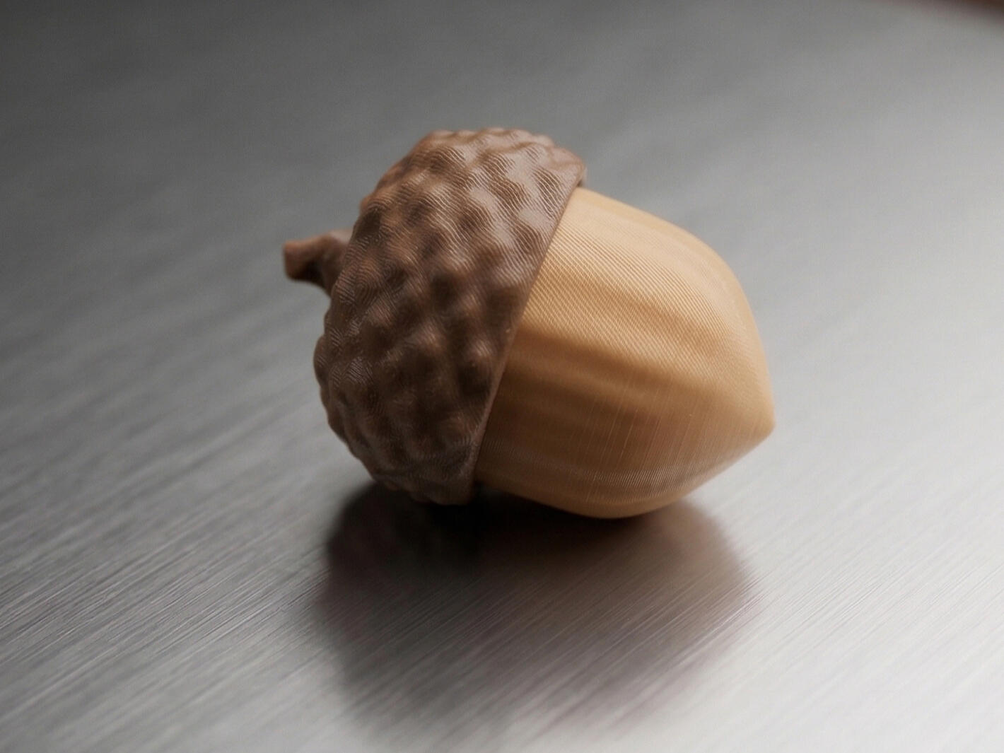 Acorn